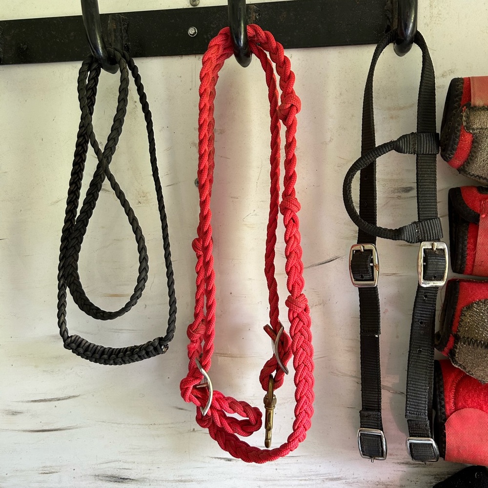 Horse Tack